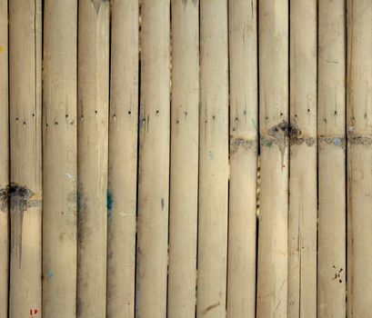 Close-up bamboo background texture with columns