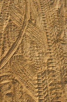 Multiple truck tire tracks in brown mud