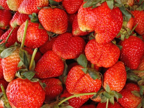 Red juicy strawberries closeup, background