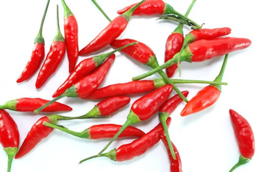 Red hot peppers on white background