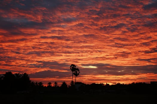 Sunset with trees and clouds