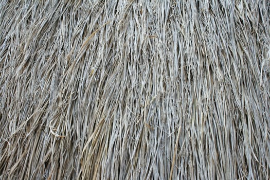 Texture of straw roof background