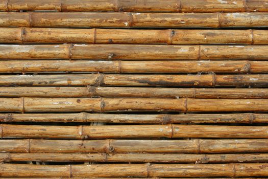 Close-up bamboo background texture with columns