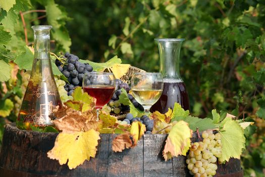 white and red wine on wooden barrel