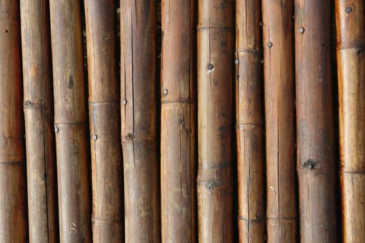 Close-up bamboo background texture with columns