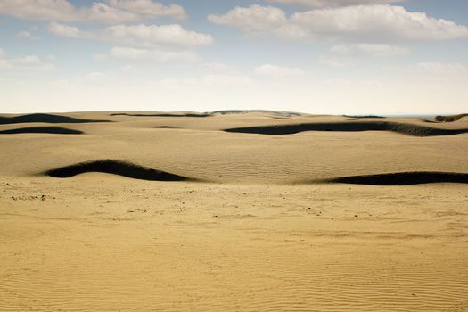 desert landscape