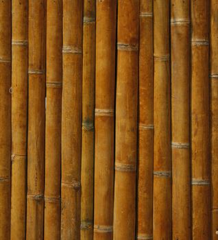 Close-up bamboo background texture with columns