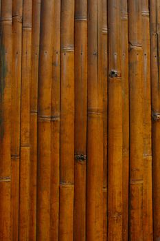 Close-up bamboo background texture with columns