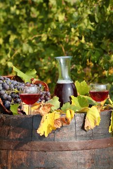 vineyard red wine