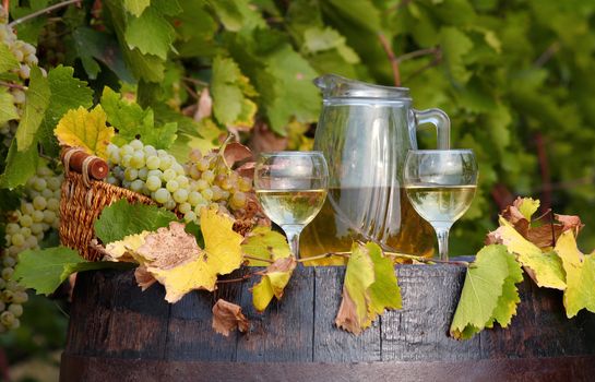 vineyard white wine