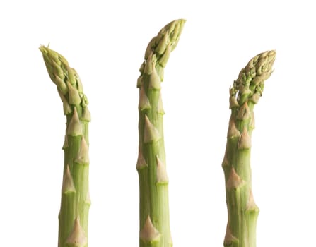 close up of asparagus on white