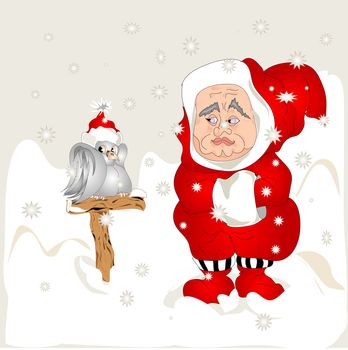 Santa Gnome with his bird