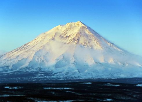 Volcano against winter wood on kamchatka in Russia