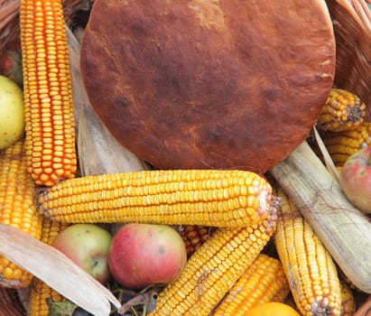 Autumn Harvest