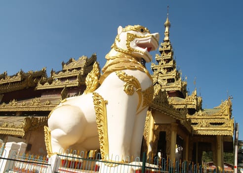 Tiger pagoda in temple, Myanmar