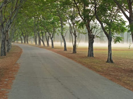 Road path in a foggy park