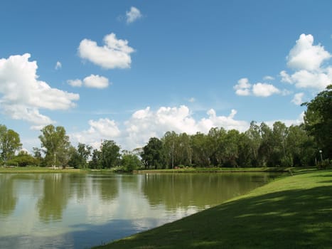 Lakeside in the park with blue background