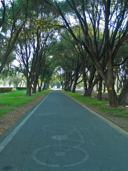 Bicycle lane in the park