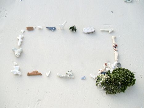 Frame with coral on the beach