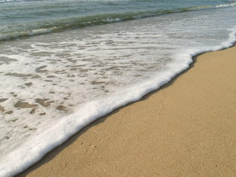 Ocean wave and tropical beach