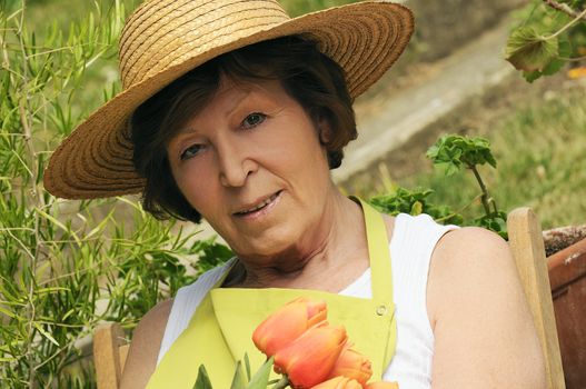 Senior woman holding gardening taking start-ups in his hands