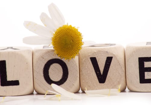 Love written with dice over a white background