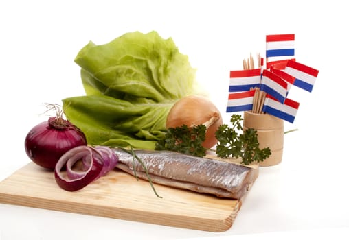 Typical Dutch salted herring called maatje or zoute haring