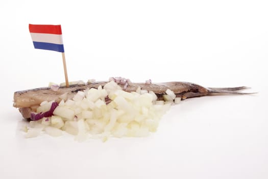 Typical Dutch salted herring called maatje or zoute haring