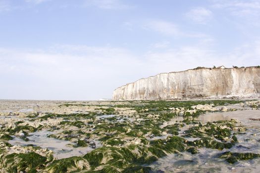 Chalk cliff along the beach in Normandie in France