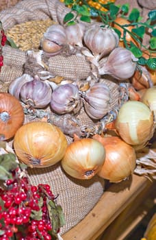 rustic collection of garlic bulbs and onion
