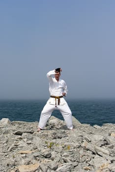 karate on the shores of the misty sea