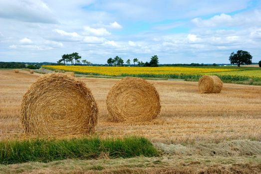  Round straw bales in harvested fields 