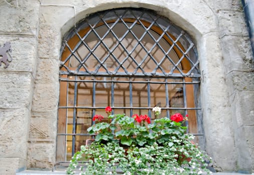 flower pot in a window with bars 