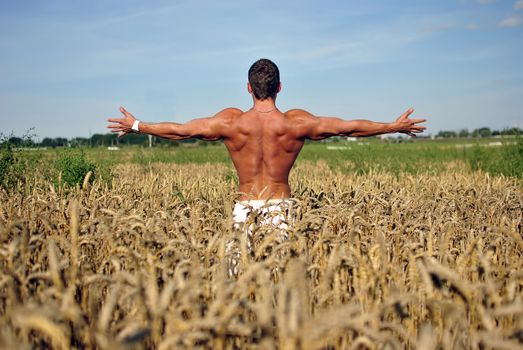 bodybuilder with arms wide open with sunglasses standing waist-deep in the field