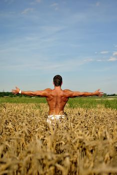 bodybuilder with arms wide open with sunglasses standing waist-deep in the field. space for text.