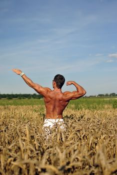 bodybuilder with sunglasses standing waist-deep in the field. space for text