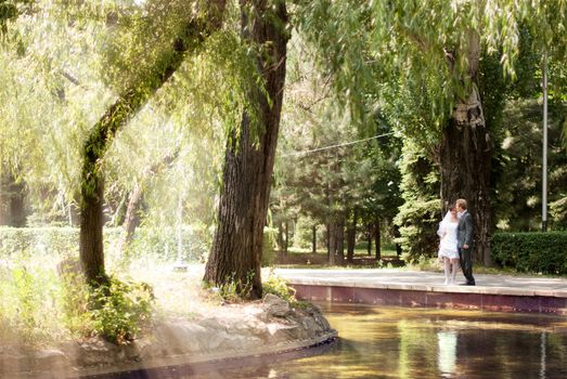 The bride and groom walking on solar park, standing near the lake, through the trees breaking through the sun's rays