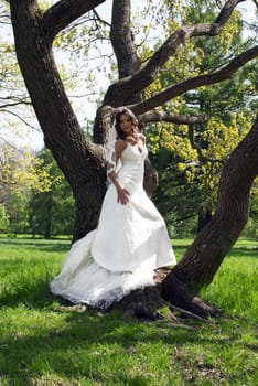 beautiful young bride leaned against a tree in the park