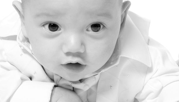 little children portraits taken in the studio on a white background