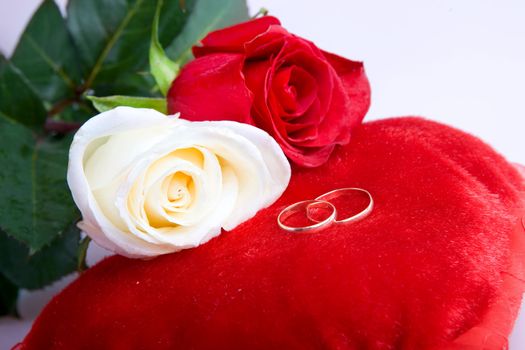 red and white roses with two wedding rings on the pillov in form of heart