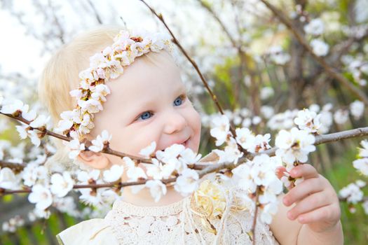 smiling toddler girl with brunches of apricot flowers