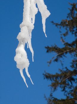 Winter in Poland