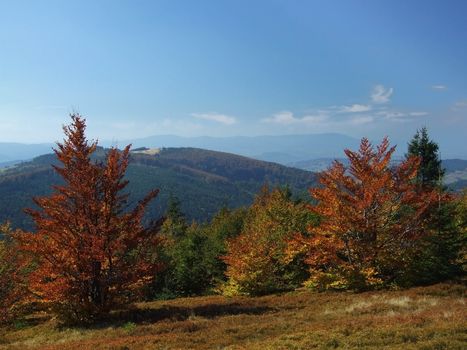 Autumn in Poland.Beskidy.