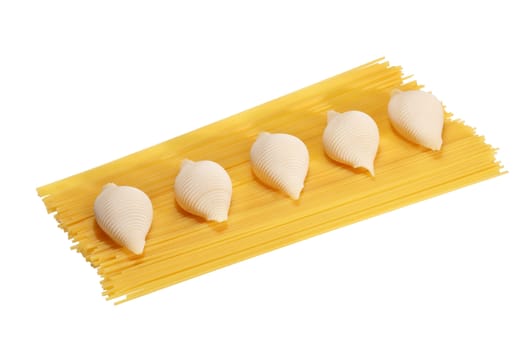 Spaghetti and conchiglie 