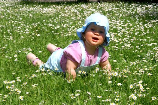 Baby girl and the beauty white daisy