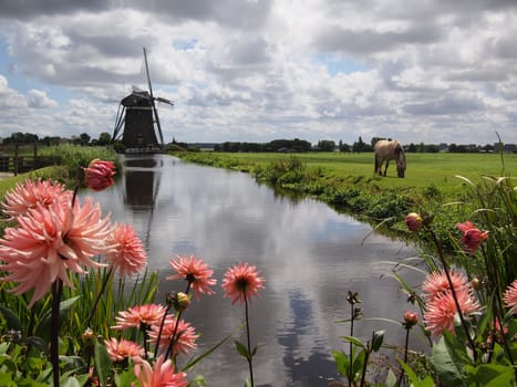 Typical landscape in Holland with a windmill, clouds, flowers and a horse.