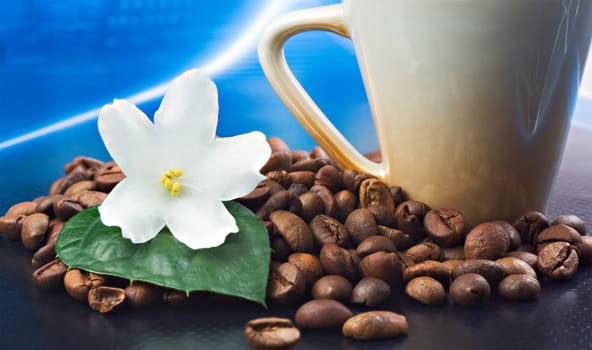 macro shot coffee beans,violet and coffee cup 