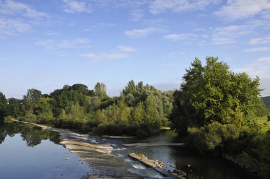 Green trees along a river with a blue sky and some little clouds