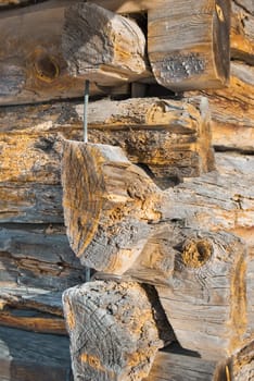 Old rotten wood logs, natural wood texture 
