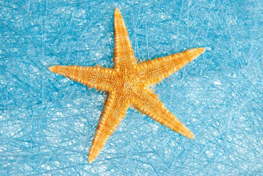 Sea star on blue straw mesh  background.